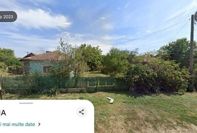 Teren de 3500 mp, în Mogoșani - 1