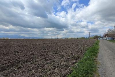 Teren de 45770 mp, în Stupini - 6