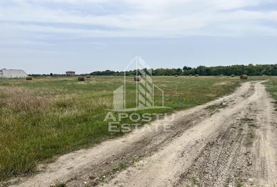Teren Construcții intravilan de 1518 mp, în Remetea Mare - 2