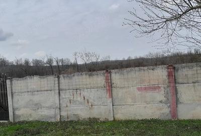 Casă cu Teren 11000 Mp în Pluta - 3