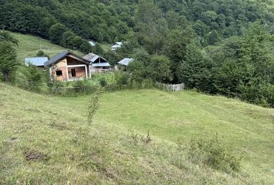 Teren de 3500 mp, în Cuejdiu - 9
