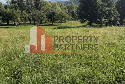 Teren Construcții intravilan de 5075 mp, în Bran - 3