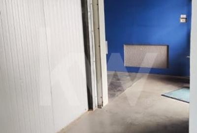 Spațiu industrial, de 255 mp, în Mihai Viteazul - 5