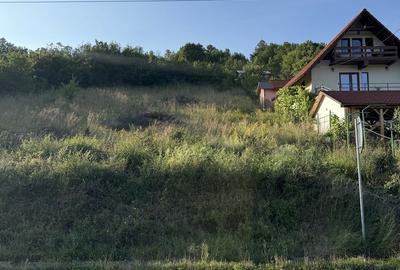 Teren de 925 mp, în Eșelnița - 3