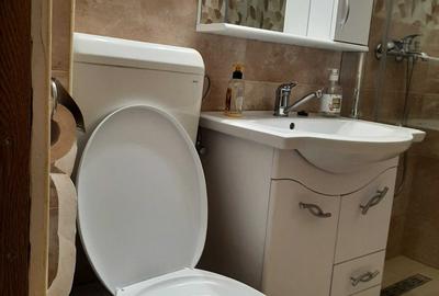 Apartament cu 2 camere semidecomandat în Rogerius