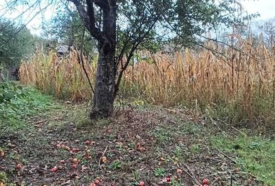 Casă cu 4 camere în Vizantea Mănăstirească