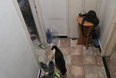 Apartament cu 2 camere în Ultracentral