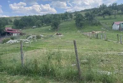 Teren de 1400 mp, în Jichișu de Jos - 3