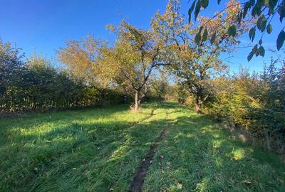 Teren de 3200 mp, în Rășinari