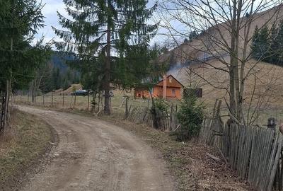 Teren de 716 mp, în Poiana Teiului