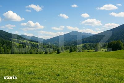 Teren de 7000 mp, în Central
