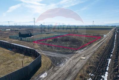Teren Construcții intravilan de 1007 mp, în Hălchiu - 5