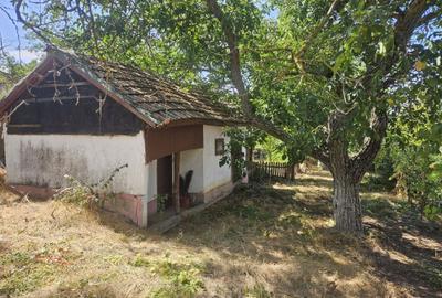 Casă cu 3 camere în Vitănești