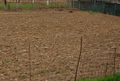 Teren Construcții intravilan de 500 mp, în Măgurele - 1
