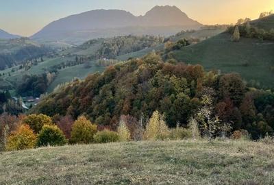 Casă individuală cu 4 camere cu Teren 1300 Mp în Poiana Mărului - 7