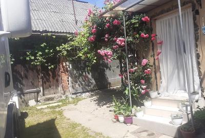 Casă cu Teren 635 Mp în Ocoliș - 6
