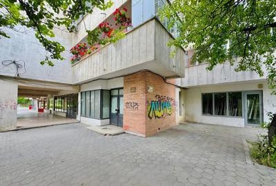 Spațiu comercial, de 80 mp, în Nicolina