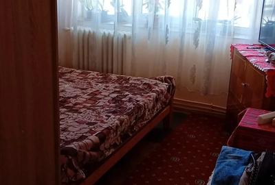 Apartament cu 2 camere decomandat în Aradul Nou - 7