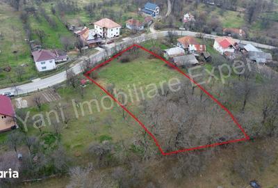 Teren de 2674 mp, în Cepari - 10