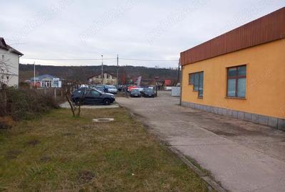 Spațiu comercial, de 4,800 mp, în Sântuhalm - 6