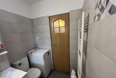 Apartament cu 2 camere decomandat, mobilat în Turnișor - 10