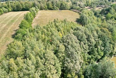 Teren Construcții intravilan de 10000 mp, în Sohodol - 2