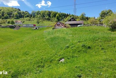 Teren de 2756 mp, în Moieciu - 2