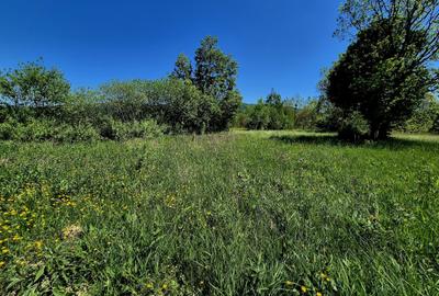 Teren agricol extravilan de 823 mp, în Șinca Nouă - 6