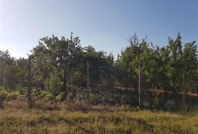Teren de 1300 mp, în Mihăești - 1