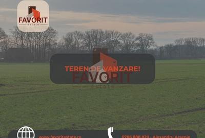 Teren Construcții intravilan de 698 mp, în Plopi - 1