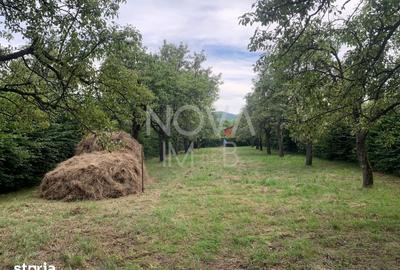 Teren de 1079 mp, în Rășinari