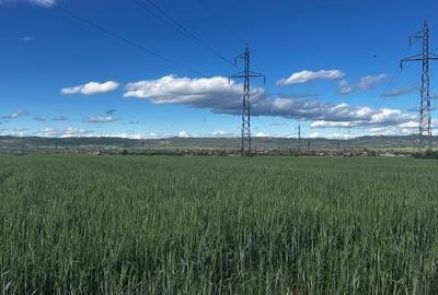 Teren agricol extravilan de 5001 mp, în Șimian
