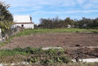 Teren de 704 mp, în Ianova - 5