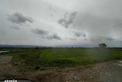 Teren de 2500 mp, în Câmpineanca - 1