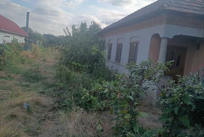 Casă cu 4 camere în Galicea Mare