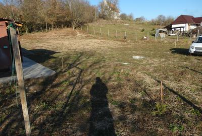 Teren Construcții intravilan de 1288 mp, în Maiad