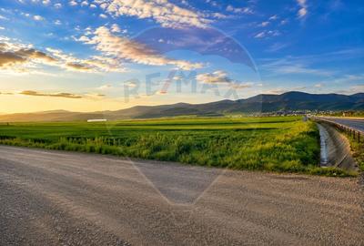 Teren agricol extravilan de 6193 mp, în Sud-Est - 1