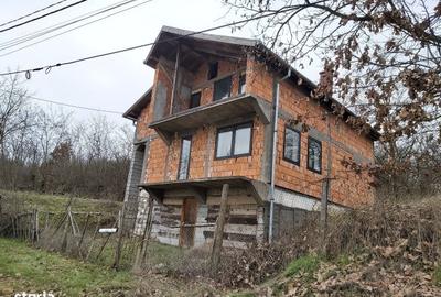 Casă cu 4 camere în Viile Satu Mare - 1