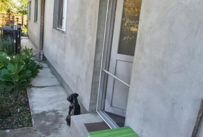 Casă cu 2 camere în Jilava