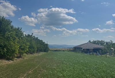 Teren de 3000 mp, în Aroneanu