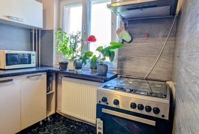 Apartament cu 2 camere semidecomandat, mobilat în Girocului - 10