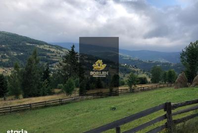 Teren de 1600 mp, în Horea