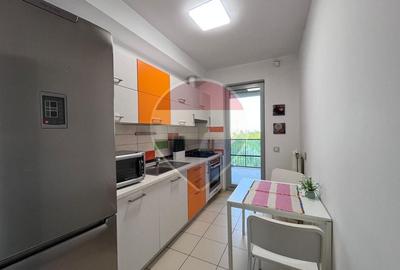 Apartament cu 2 camere decomandat, mobilat în Splaiul Unirii - 10
