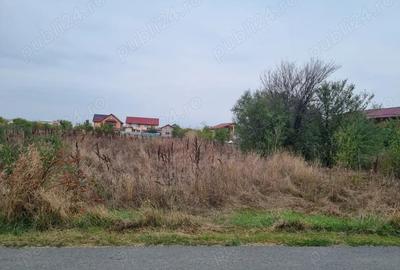 Teren de 2400 mp, în 1 Decembrie
