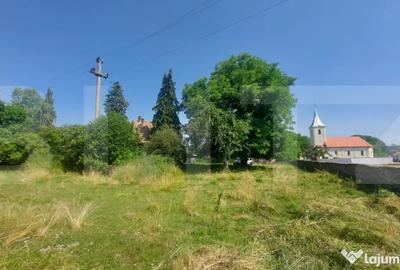 Casă cu 9 camere cu Teren 36000 Mp în Zagon - 6