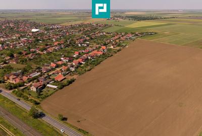 Teren agricol extravilan de 28500 mp, în Șofronea - 3