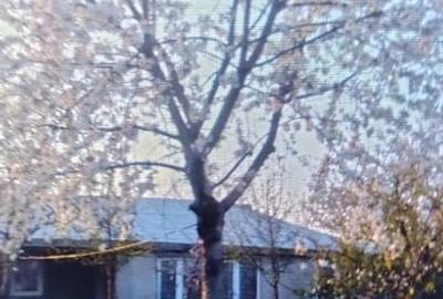 Casă cu 3 camere cu Teren 1200 Mp în Valea Râmnicului