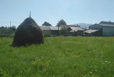 Teren în Central