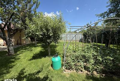 Casă cu 4 camere cu Teren 1700 Mp în Central - 4
