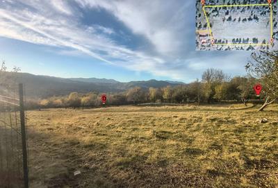 Teren de 4829 mp, în Corbi